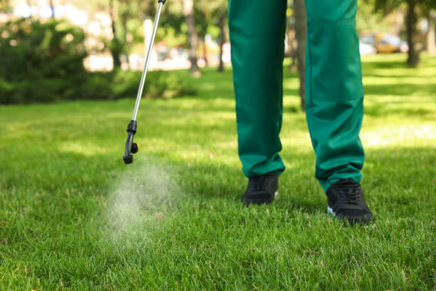 Best Flea Control Services  in North Warren, PA