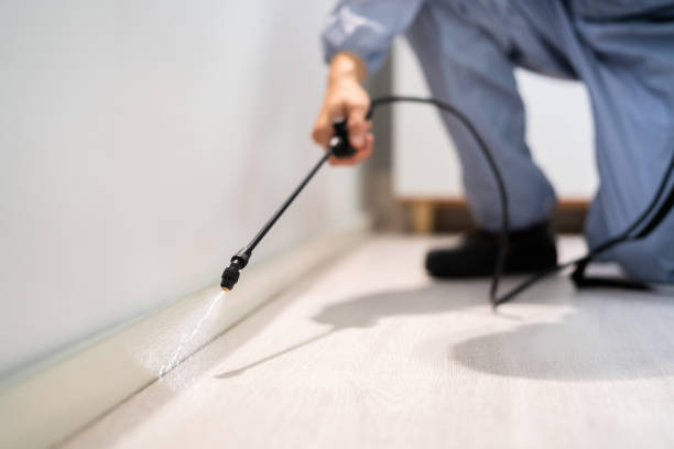 Flea Control Services in North Warren, PA