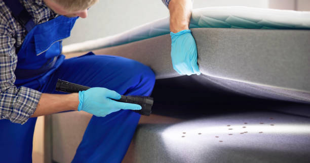 Reliable North Warren, PA Pest Control Solutions