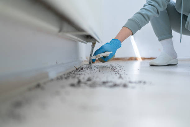 Best Insect Control  in North Warren, PA